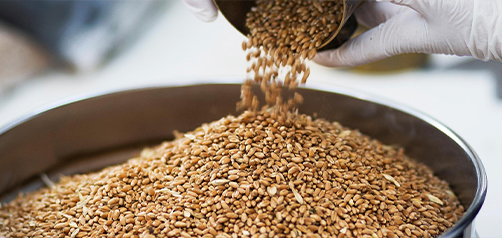 Types of Grain Mills